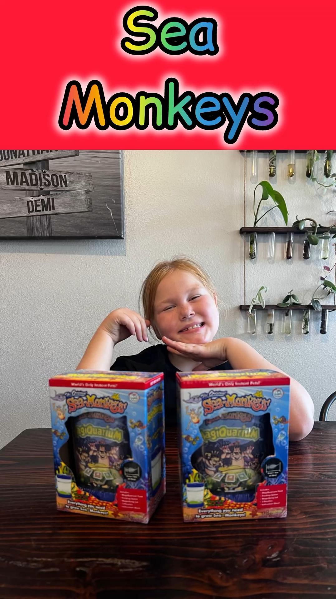 𝗦𝗲𝗮 𝗠𝗼𝗻𝗸𝗲𝘆𝘀
•
The world’s only instant pets! Offering a unique and educational experience that’s fun for all ages. They are as easy as 1-2-3! Just follow the directions on the numbered packets and voila!
•
Six kits to choose from, each with its unique theme:
🐬 Ocean Zoo
🏰 Magic Castle
🪐 Mars
🌋 Ocean Volcano
🐠 Magiquarium
📼 Retro 

#LTKFamily #LTKKids #LTKGiftGuide