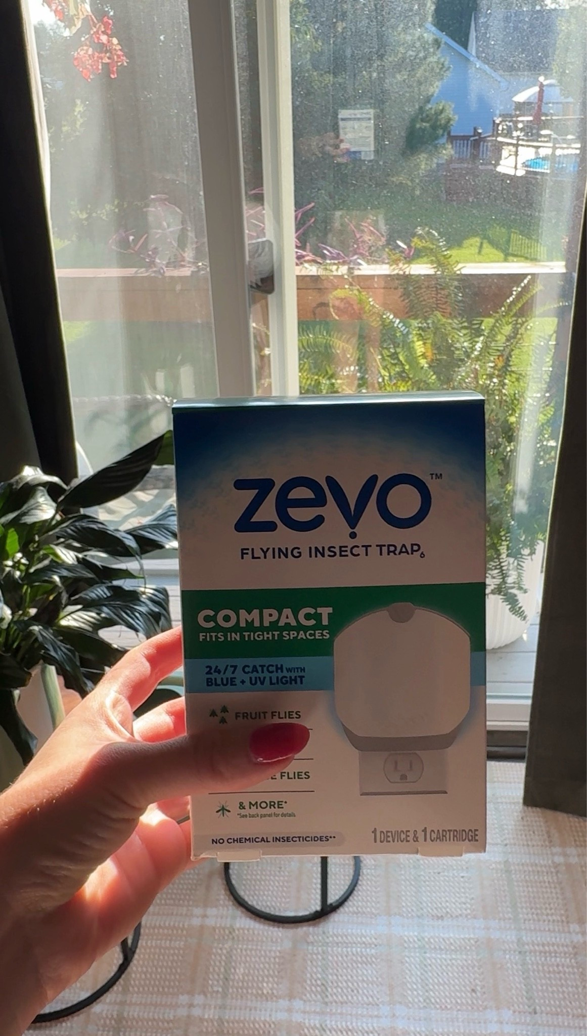 Affordable gnat control.

#LTKHome #LTKmomlife #LTKdayinmylife