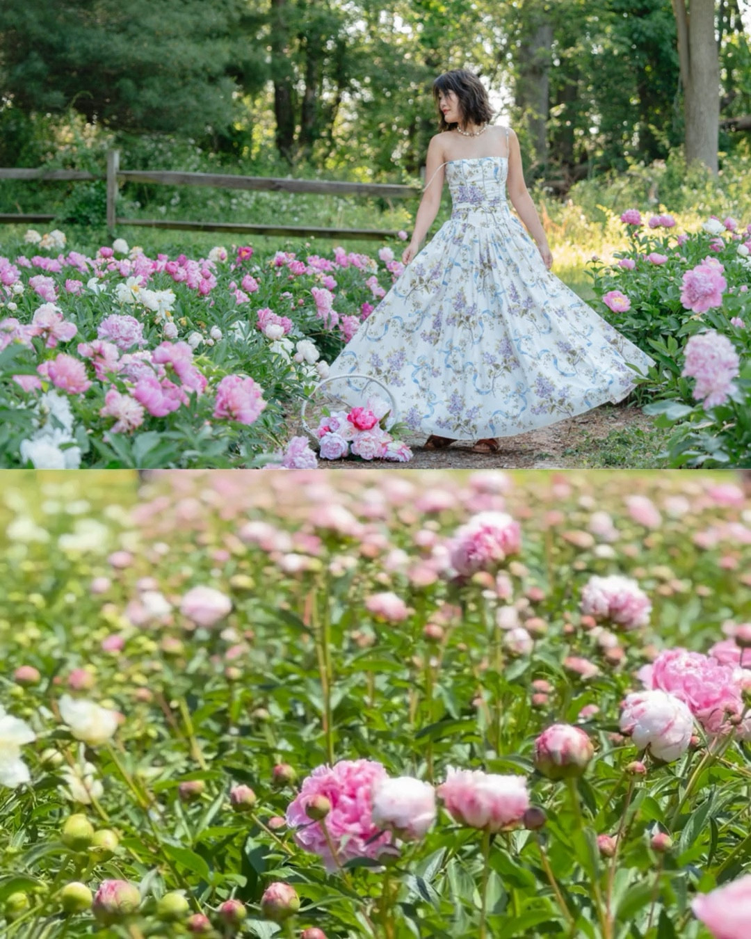 Spring dresses

House of cb dress
Yasabelle dress
Wearing size small



#LTKSpringSale