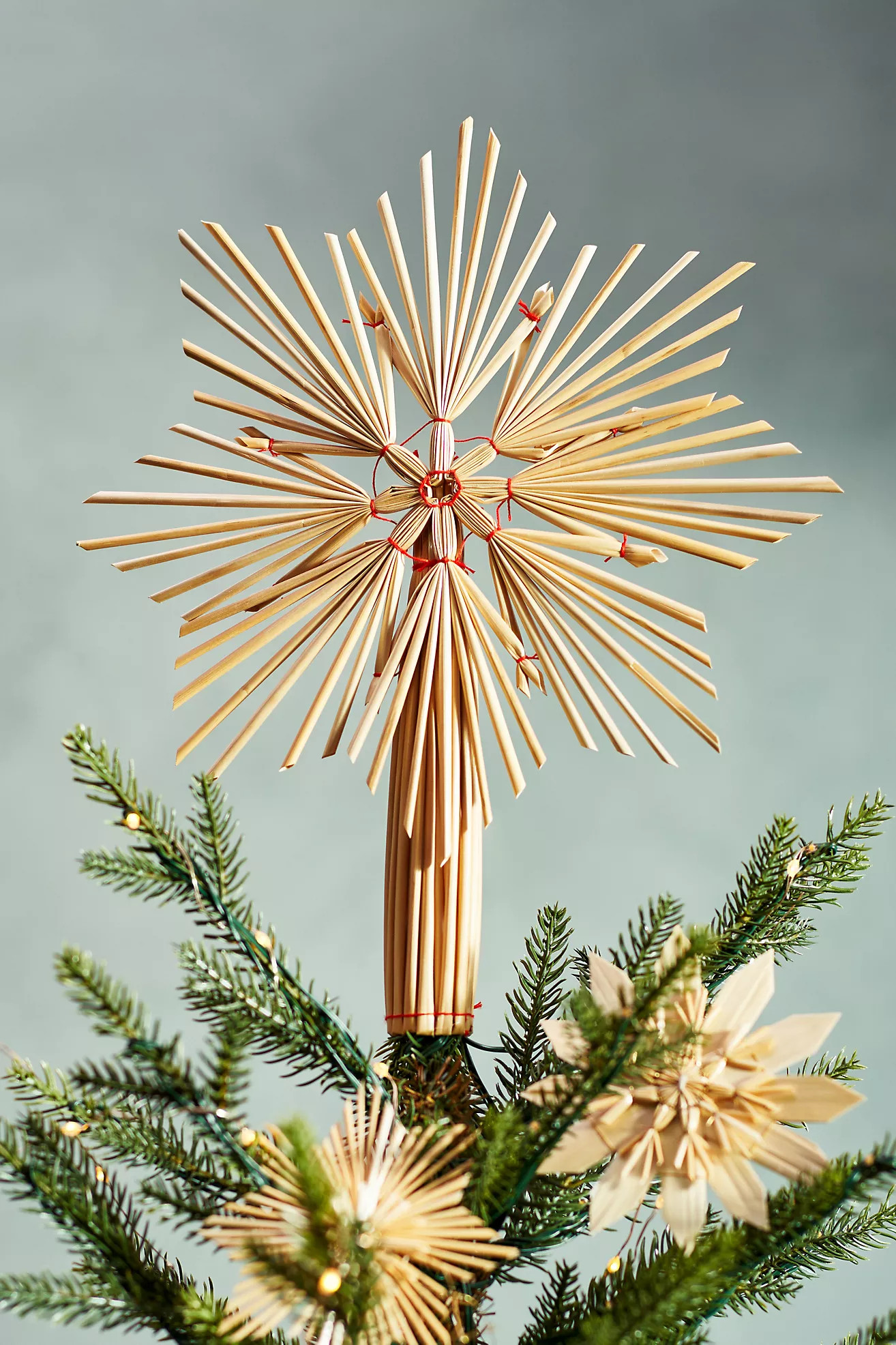 Celestial Star Tree Topper | Anthropologie (US)