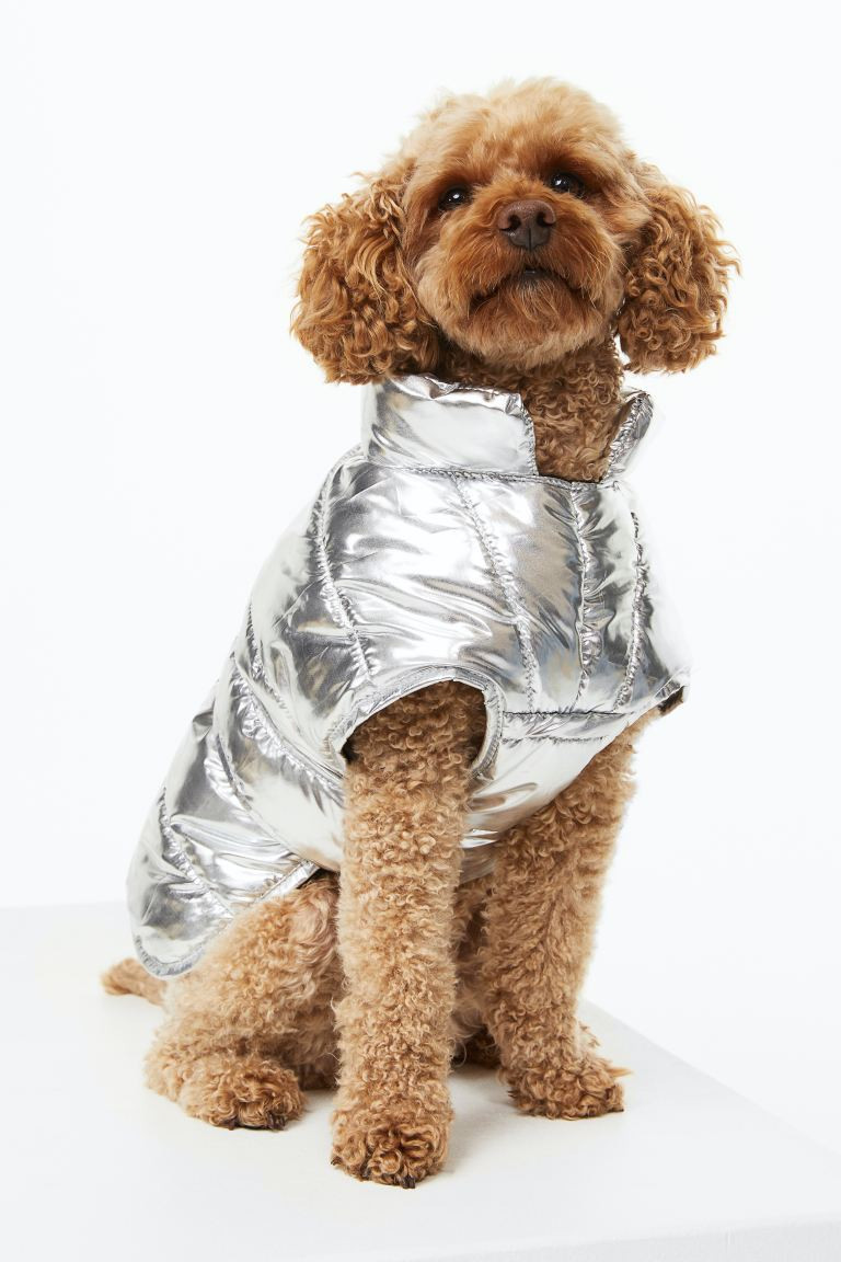 Shimmering Quilted Dog Jacket | H&M (US + CA)