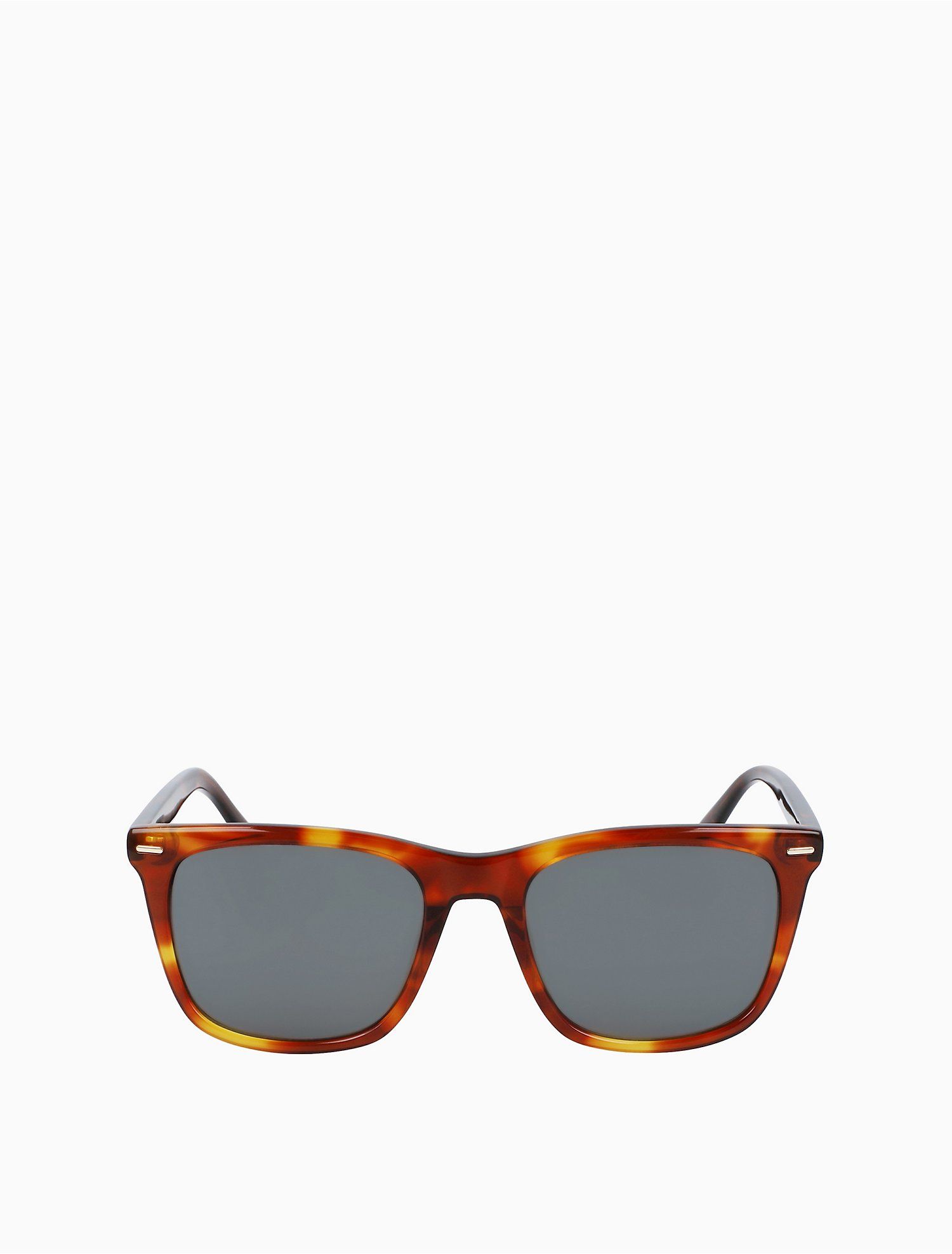 Modern Square Acetate Sunglasses | Calvin Klein | Calvin Klein (US)