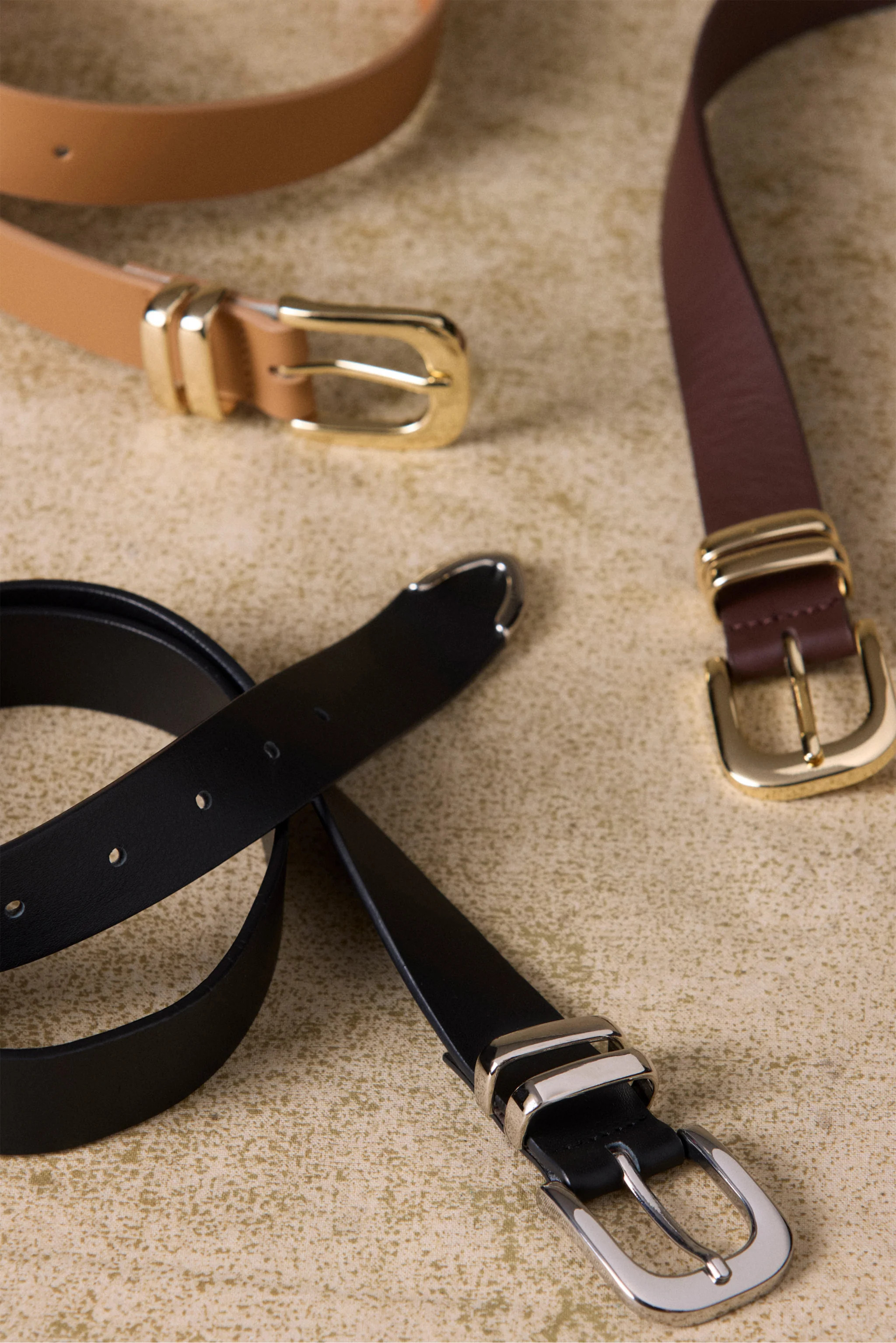 Brantley Belt | Evereve