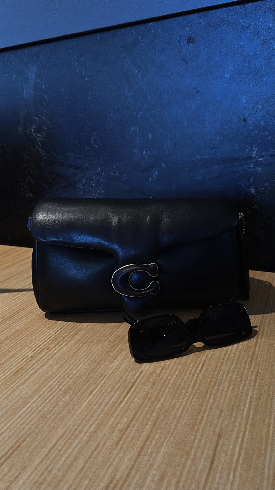 Black Coach Tabby Pillow 26

#LTKstyletip #LTKSeasonal #LTKitbag