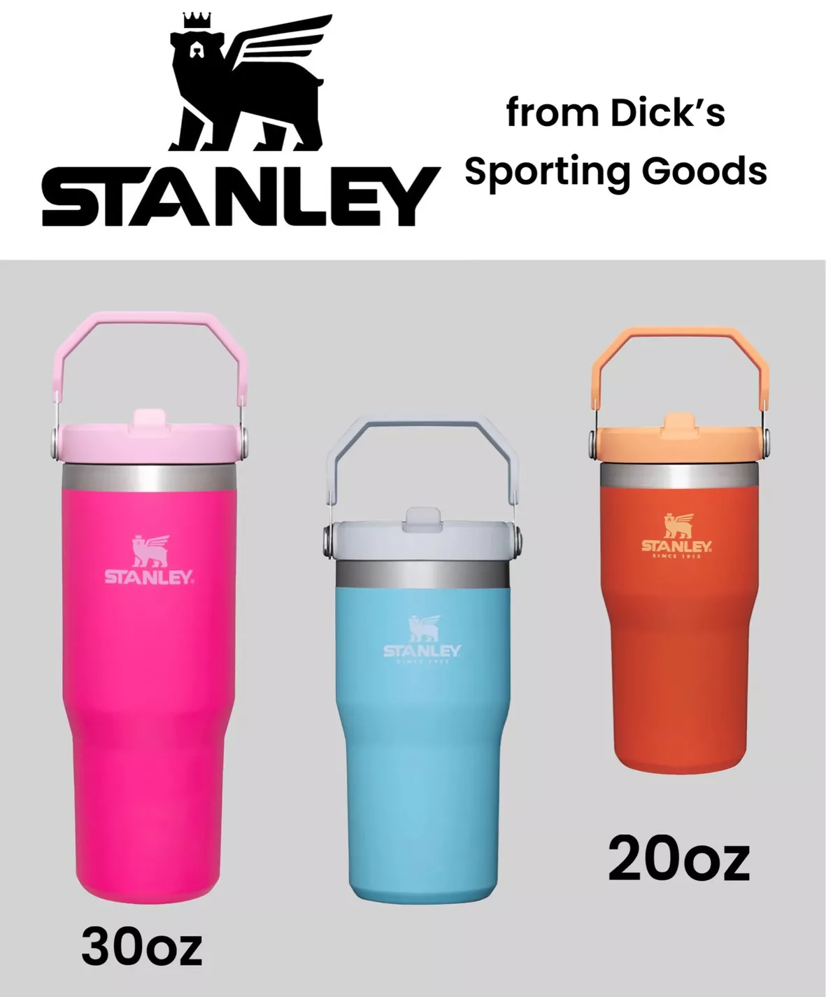 Stanley Tumbler 30 oz  DICK's Sporting Goods