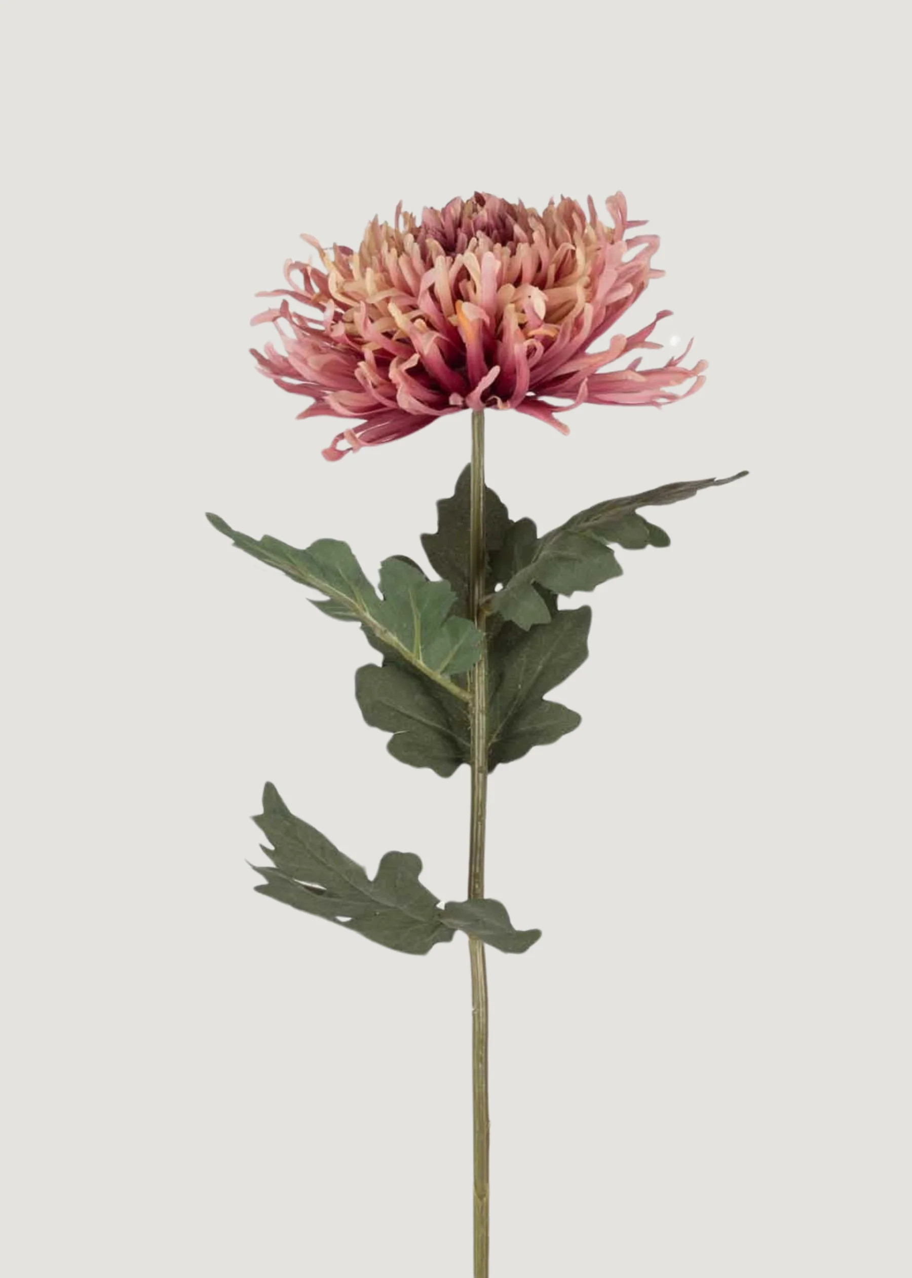 Pink Sunset Chrysanthemum Stem | Artificial Wildflowers | Afloral | Afloral