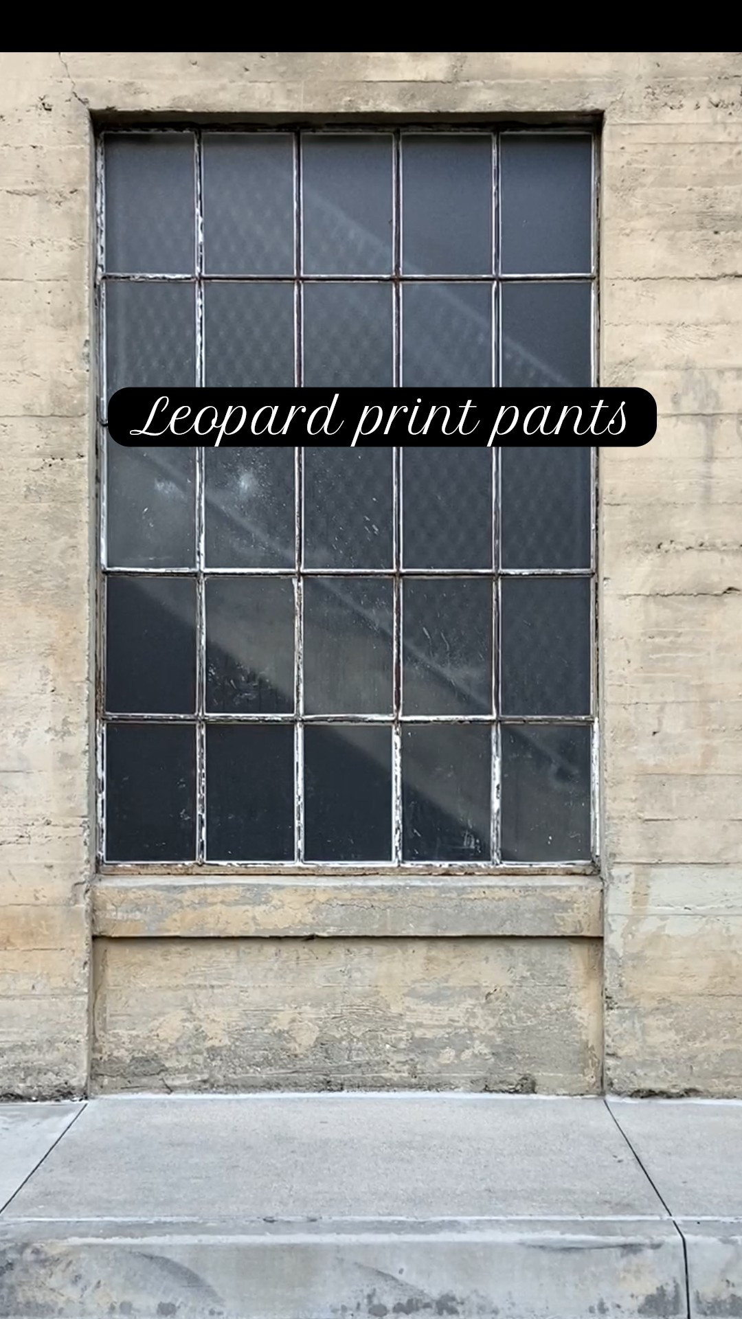 Leopard print pants, Uggs outfit, fall outfit 

#LTKFindsUnder100 #LTKSeasonal #LTKStyleTip