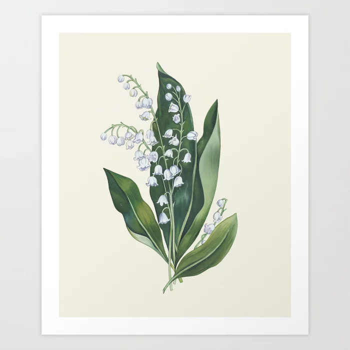 Botanical Collection - Lily of the Valley Art Print | Society6