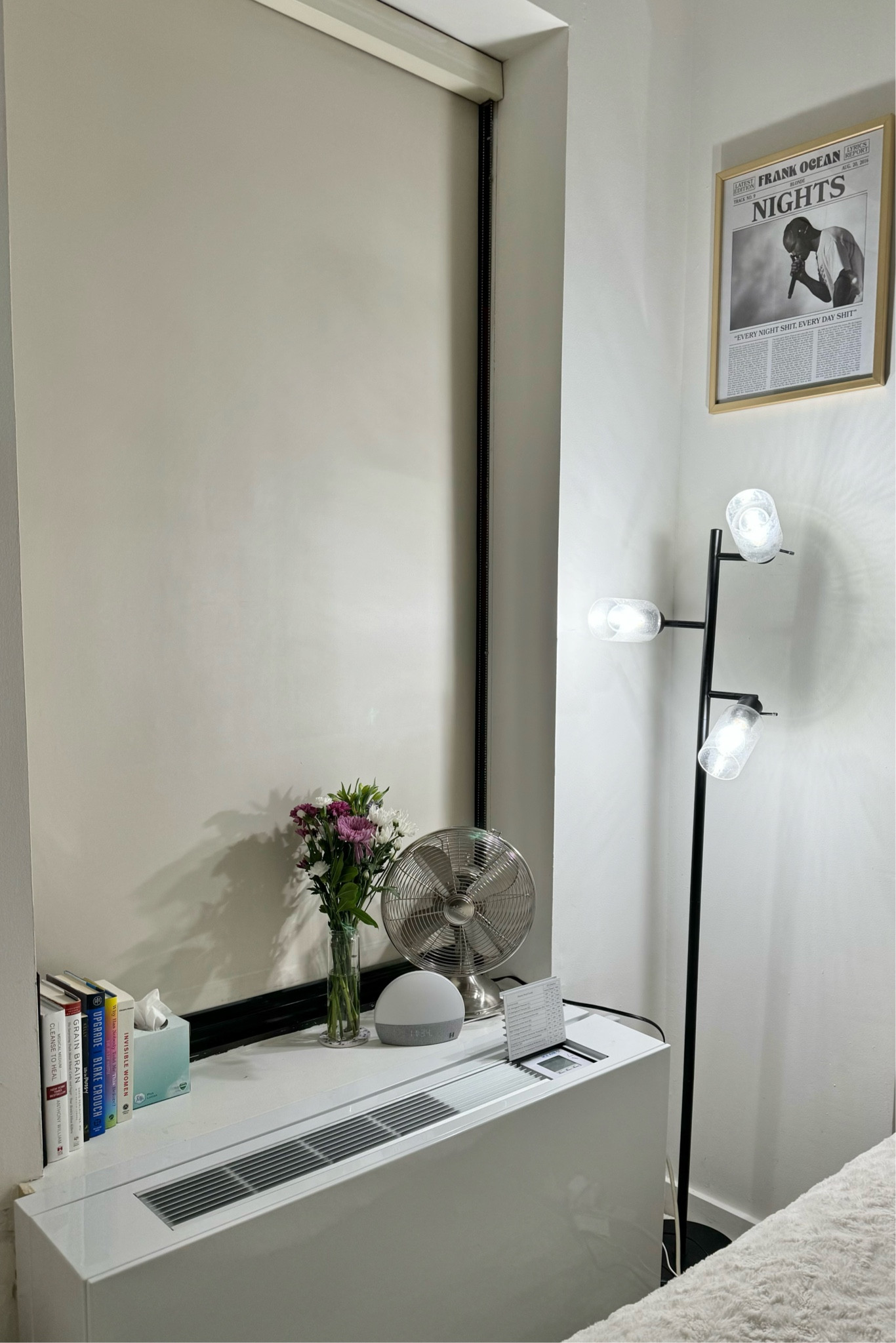 a little windowsill decor in my studio apartment 💐🎀🫶🏼



#LTKfindsunder100 #LTKfindsunder50 #LTKhome