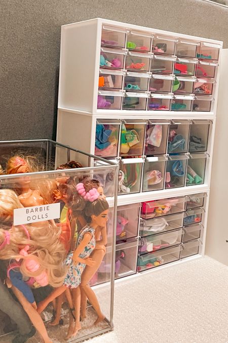 All the products you need to organize your Barbie clothes and tiny accessories!

Barbie, toy organization, playroom inspo

#LTKhome #LTKunder50