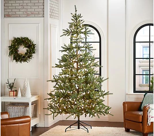 Ebenezer & Co. 10' Prelt Fraser Fir Christmas Tree | QVC