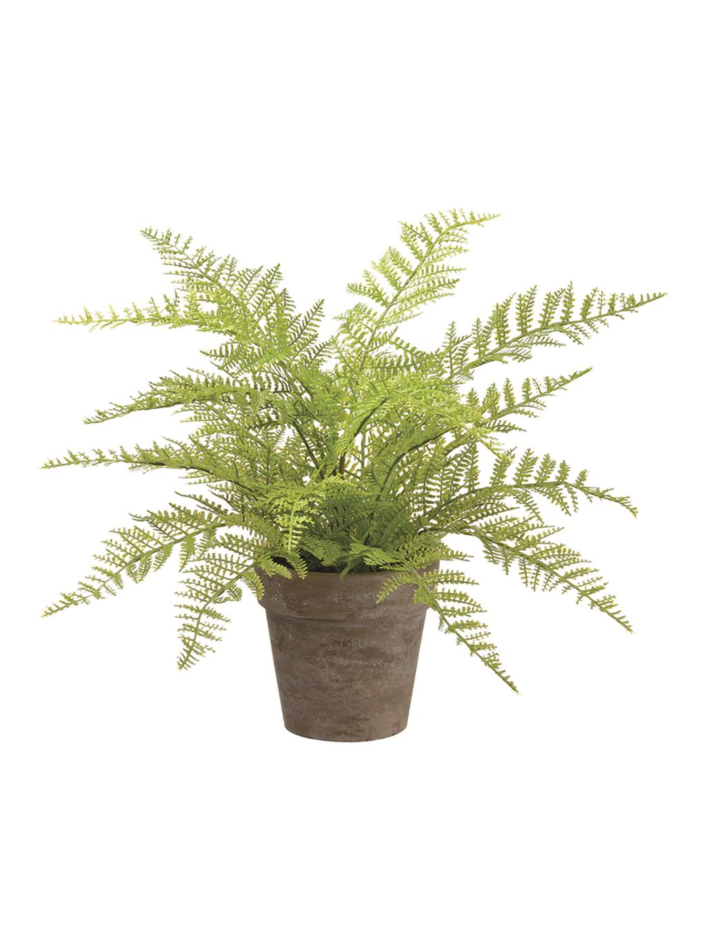 Faux Paper Mache Potted Fern | House of Jade Home