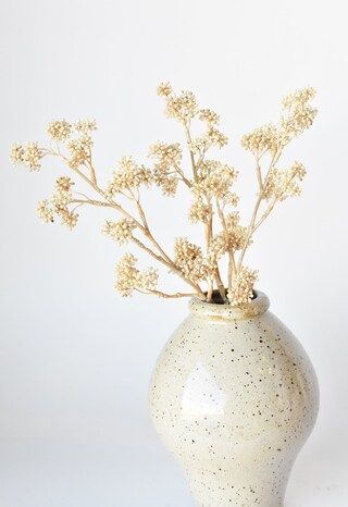 17" Faux Cream Sedum Spray Stem | Michaels | Michaels Stores