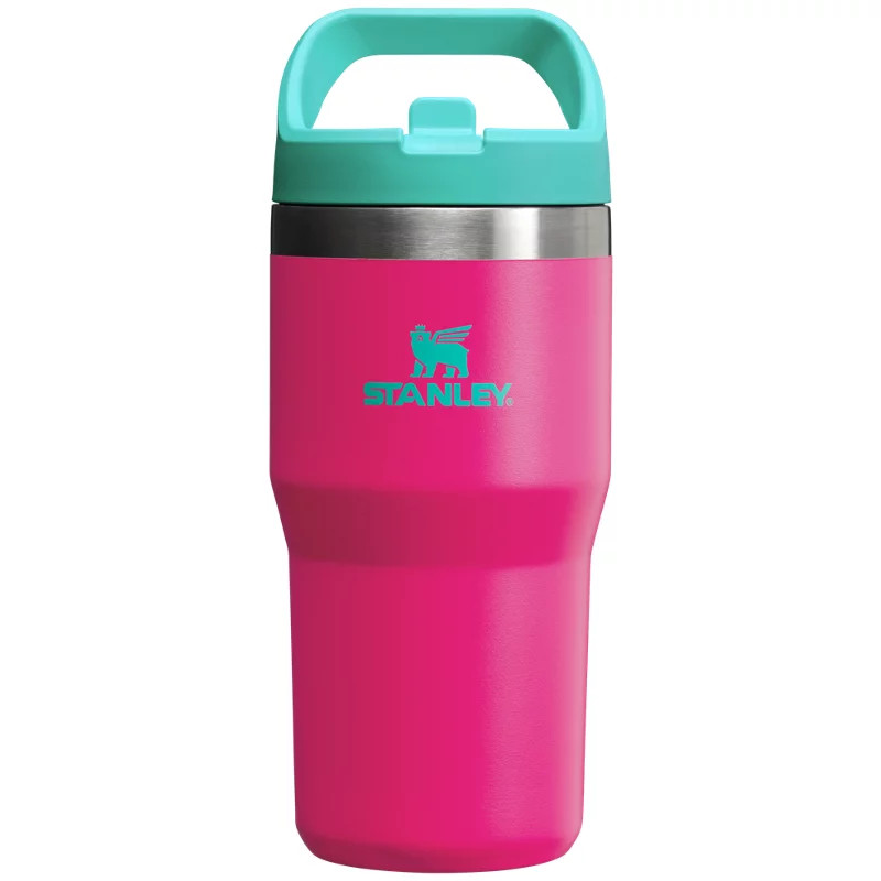 Stanley 20 oz. Go Flip Fixed Lid Straw Tumbler Passion Pink - Thermos/Cups &koozies at Academy Sports | Academy Sports + Outdoors