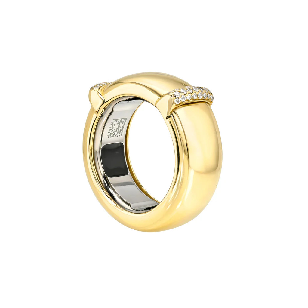 The Aura Case | Logan Hollowell