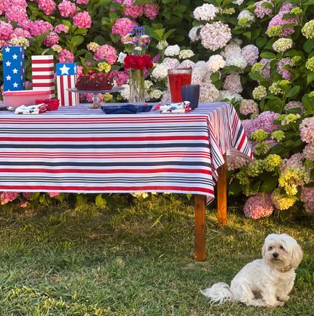 Fourth of July tablescape. 4th of July table decor. Fourth of July clearance. Wayfair 4th of July clearance. ❤️🤍💙🇺🇸

#LTKSeasonal #LTKFind #LTKhome