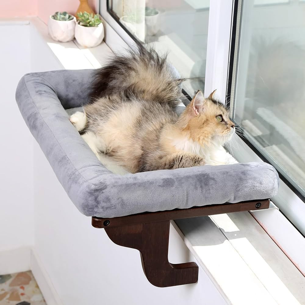 Cat Perch for Window Sill with Bolster - Orthopedic Hammock Design with Premium Hardwood & Robust... | Amazon (US)