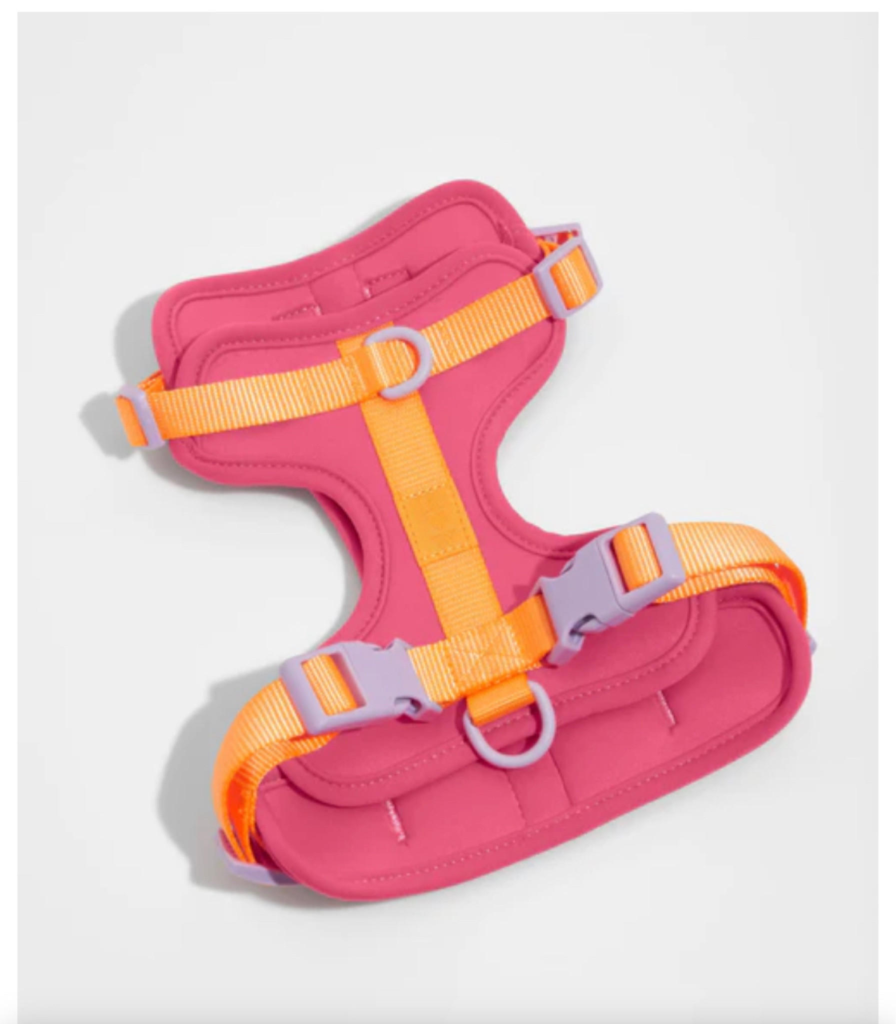 Evie’s birthday harness! 😍

(Part of the Isaac Mizrahi collection for WildOne.) 

#LTKunder50 #LTKstyletip #LTKfamily