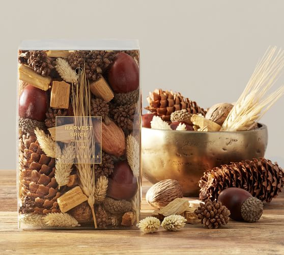Harvest Spice Scented Potpourri | Pottery Barn (US)