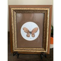 Vintage Framed Butterfly Art | Retro Mcm Paint & Ink Insect Miniature Boho Picture Wall Decor Artwor | Etsy (US)