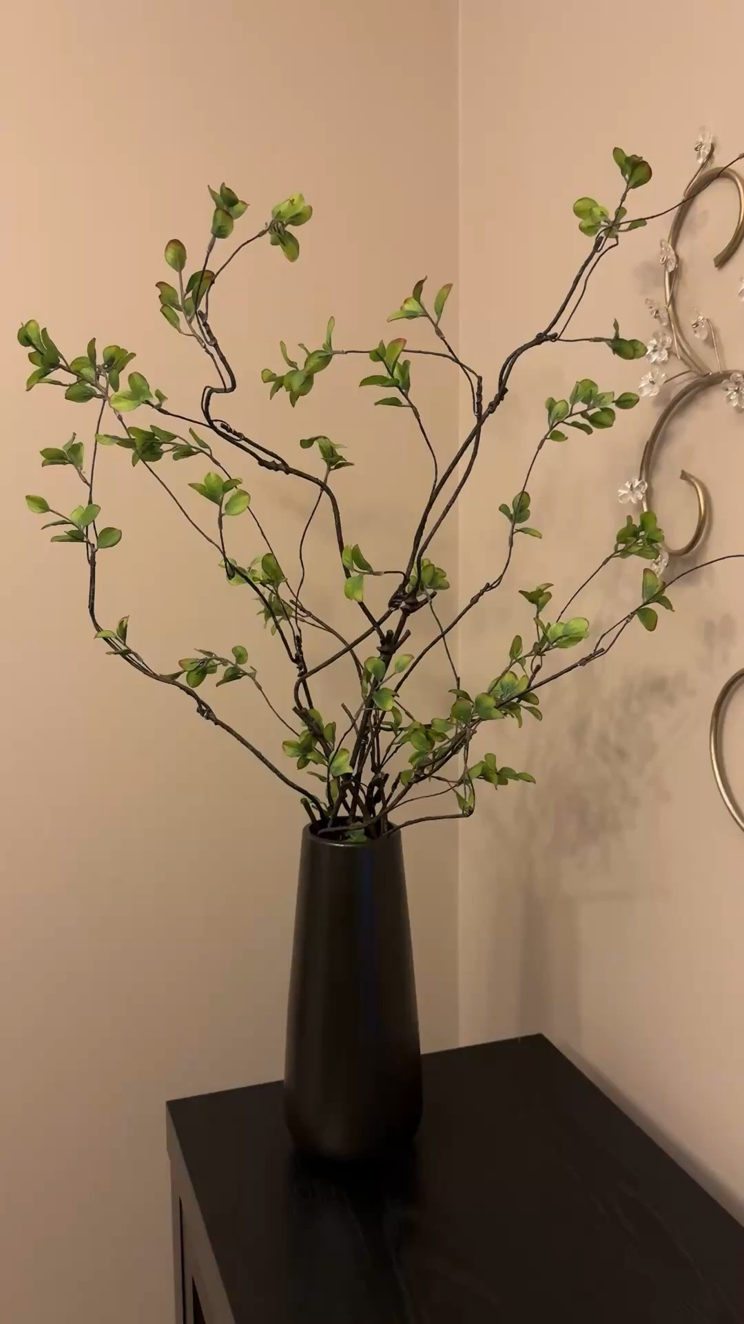 Faux stems are a perfect addition to your home’s spring decor refresh. Perfect for tall vases. 

#amazonfind #fauxstems #springrefresh #affordabledecor #springdecor

Fake flowers, faux stems, black vase, Amazon home, Walmart home, fake greenery, spring faux flowers, black tall vases 
#LTKFindsUnder50 

#LTKHome