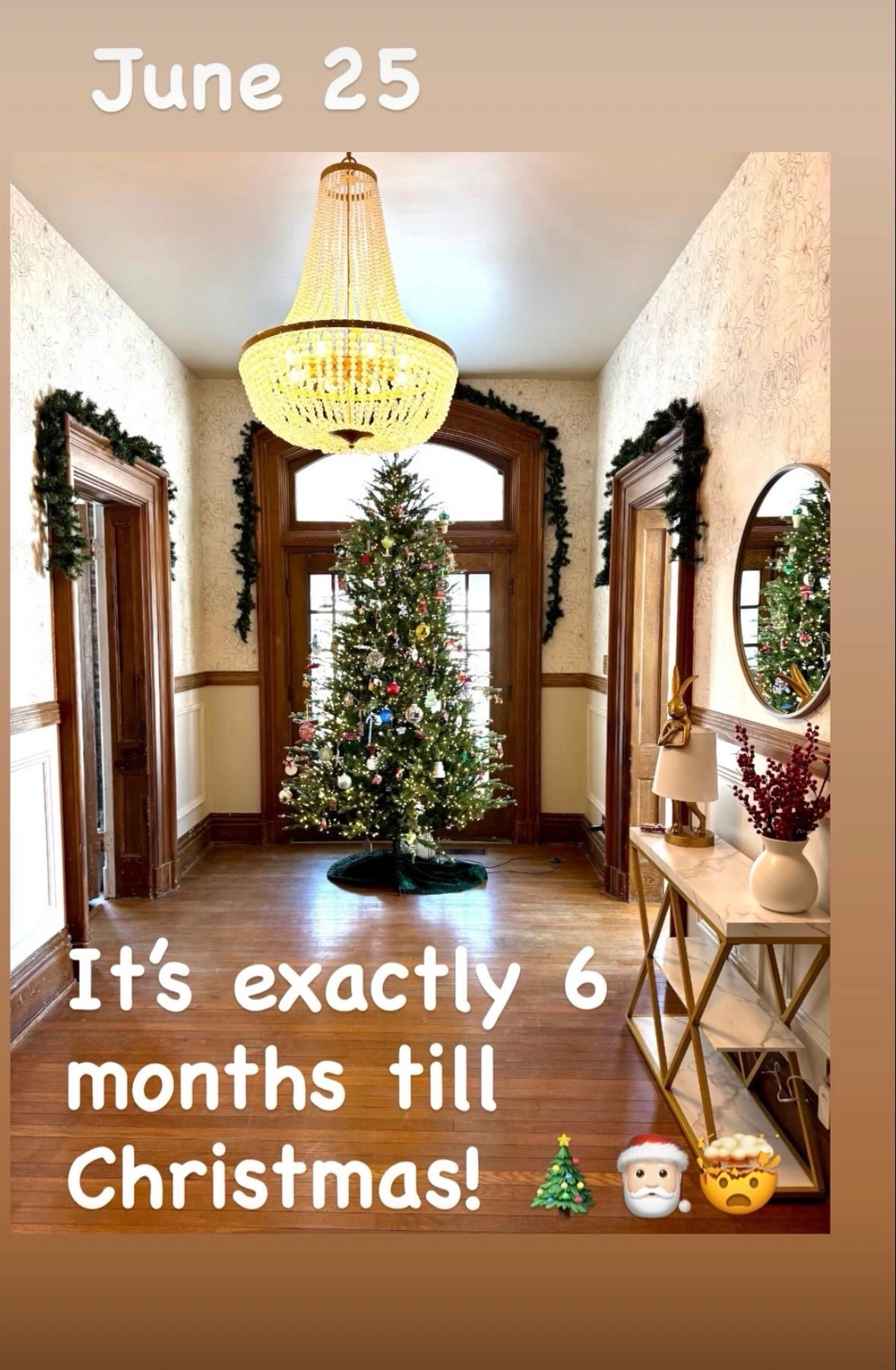 It’s National Leon Day - Noel spelled backward! 

I’m laughing because I looked back at my Christmas tree purchase from Home Depot was July 4th weekend! I didn’t want my tree and wreathe to be sold out again. 

So here you go. You’re welcome 😂🤪

#LTKchristmas
