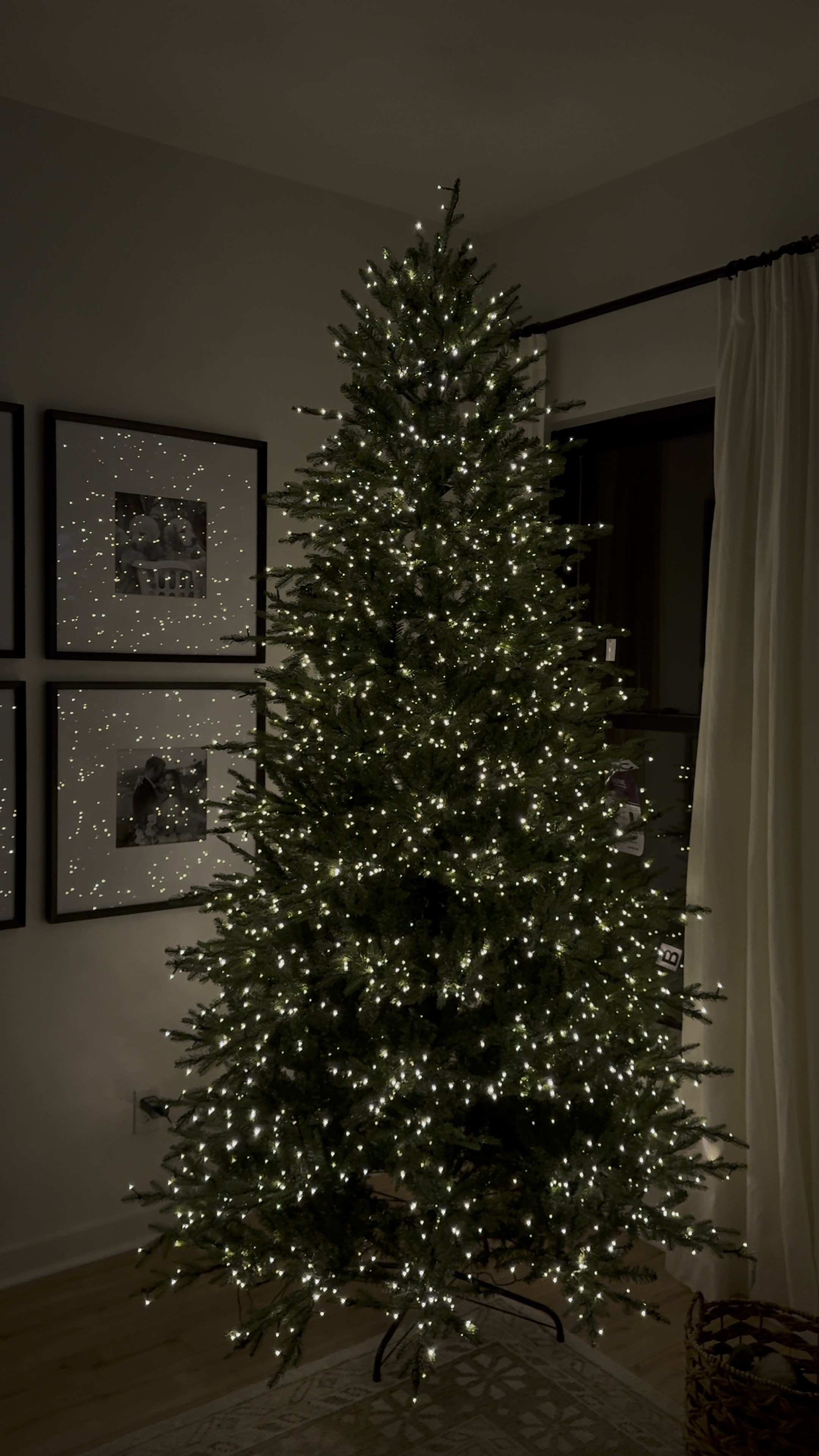 BEST Christmas Tree on the market!!! And at an amazing price for a 9’ tree! 

This is the viral Home Depot pre-lit Christmas tree. If you are lucky enough to snag one, get ready to be obsessed! 

Cannot wait to decorate this 🎄❤️🎅🏻☕️🎁🤍⛄️