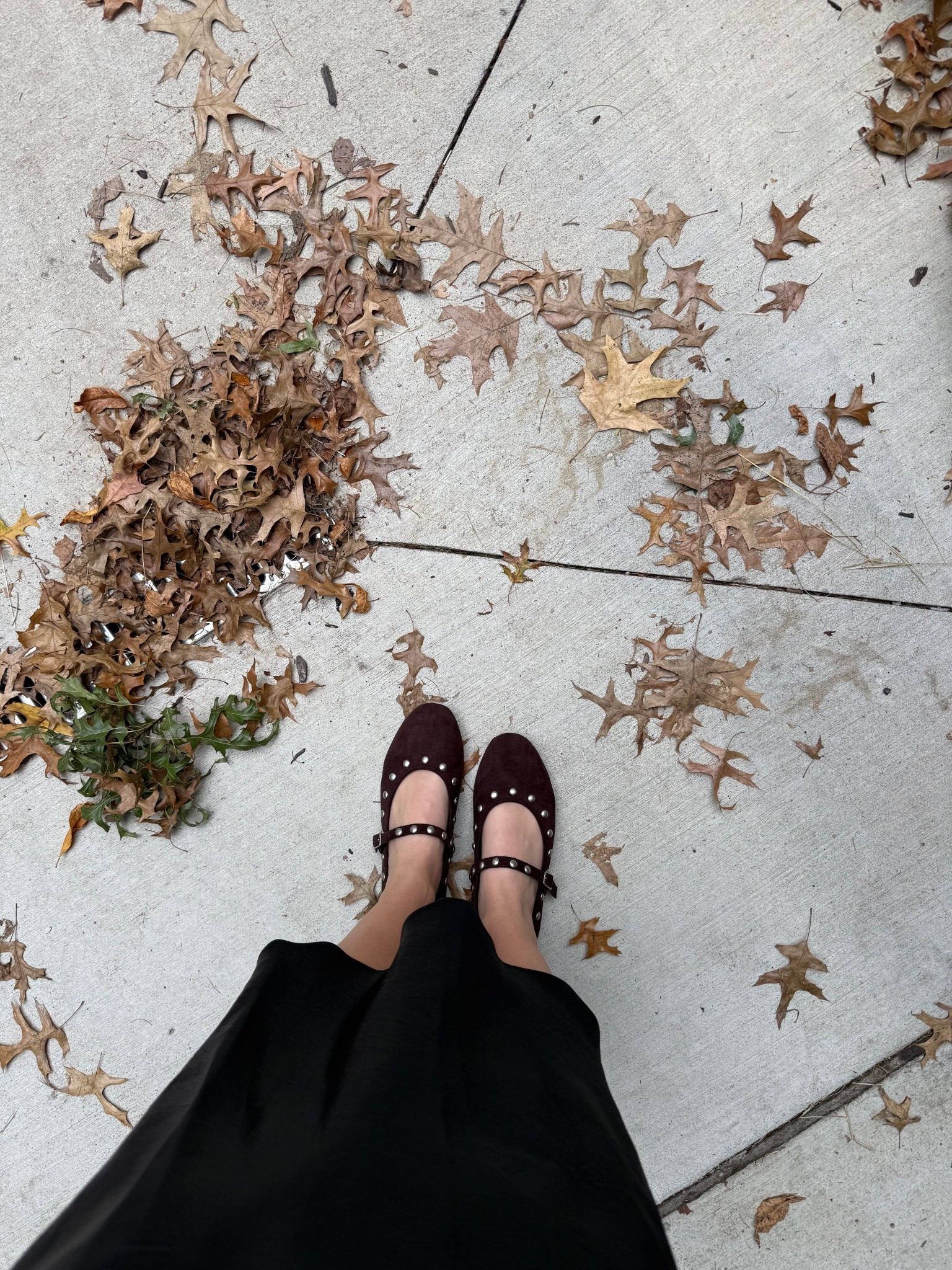 New shoes!

#LTKSeasonal #LTKStyleTip #LTKFindsUnder100