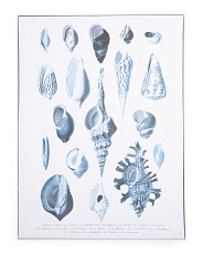 30x40 Coastal Trinkets Indigo 1 Framed Canvas Wall Art | TJ Maxx