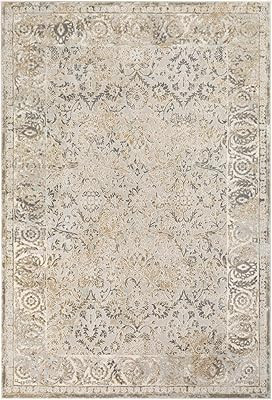 Amazon.com: Parkerfield Moroccan Farmhouse Living Room Bedroom Dining Room Area Rug - Bohemian St... | Amazon (US)