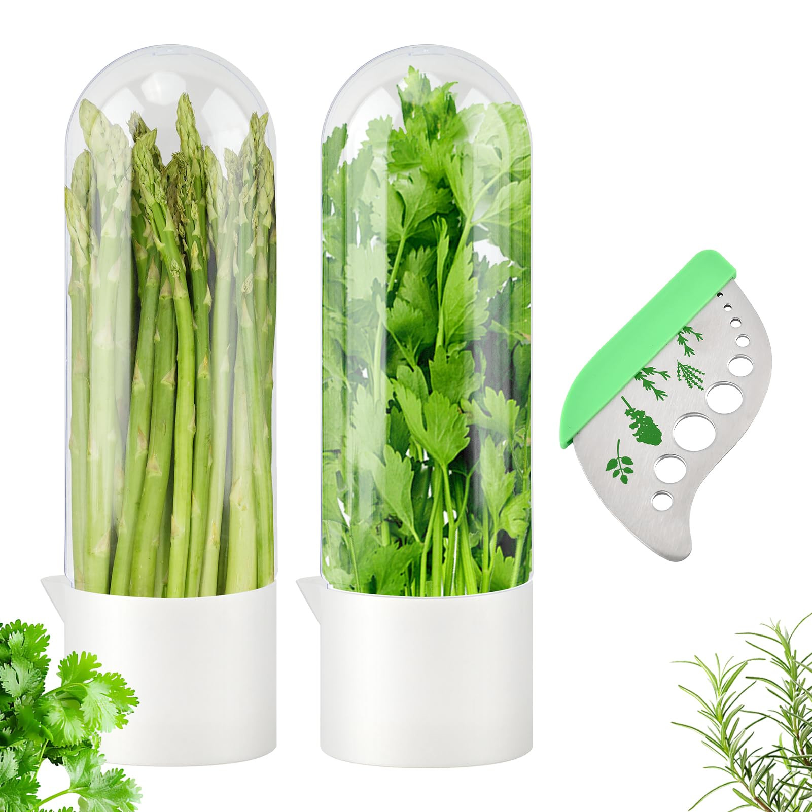 Herb Keeper for Refrigerator with Herb Peeler - Herbs Saver & Vegetable Preservation Container, E... | Amazon (US)