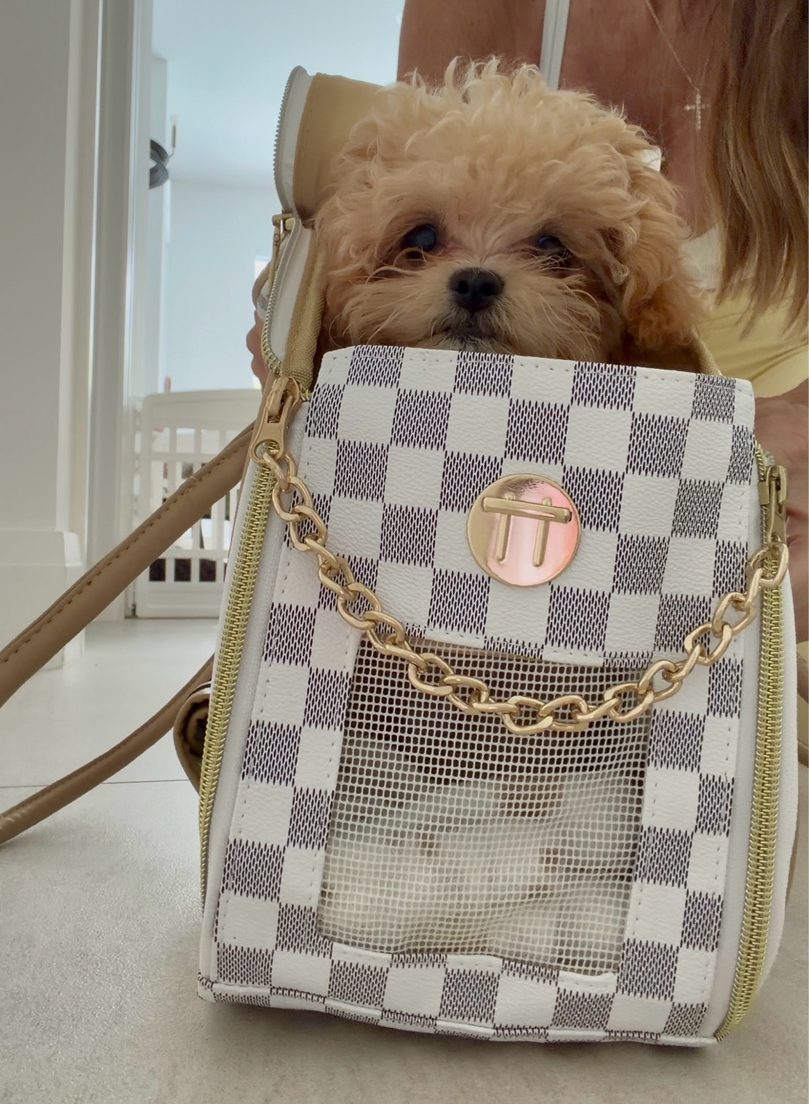 The cutest designer inspired dog/cat carrier

#LTKTravel #LTKSaleAlert