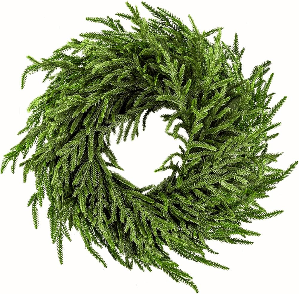 24" Norfolk Pine Wreath for Front Door, Real Touch Norfolk Pine Artificial Christmas Wreath Cedar... | Amazon (US)