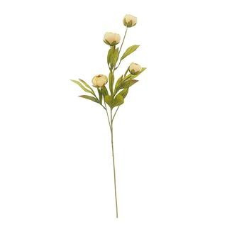 Tan Peony Stem by Ashland® | Michaels® | Michaels Stores