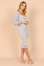 Bonita Shirred Frill Long Sleeve Bodycon Midi Dress - Blue Floral | Petal & Pup (US)