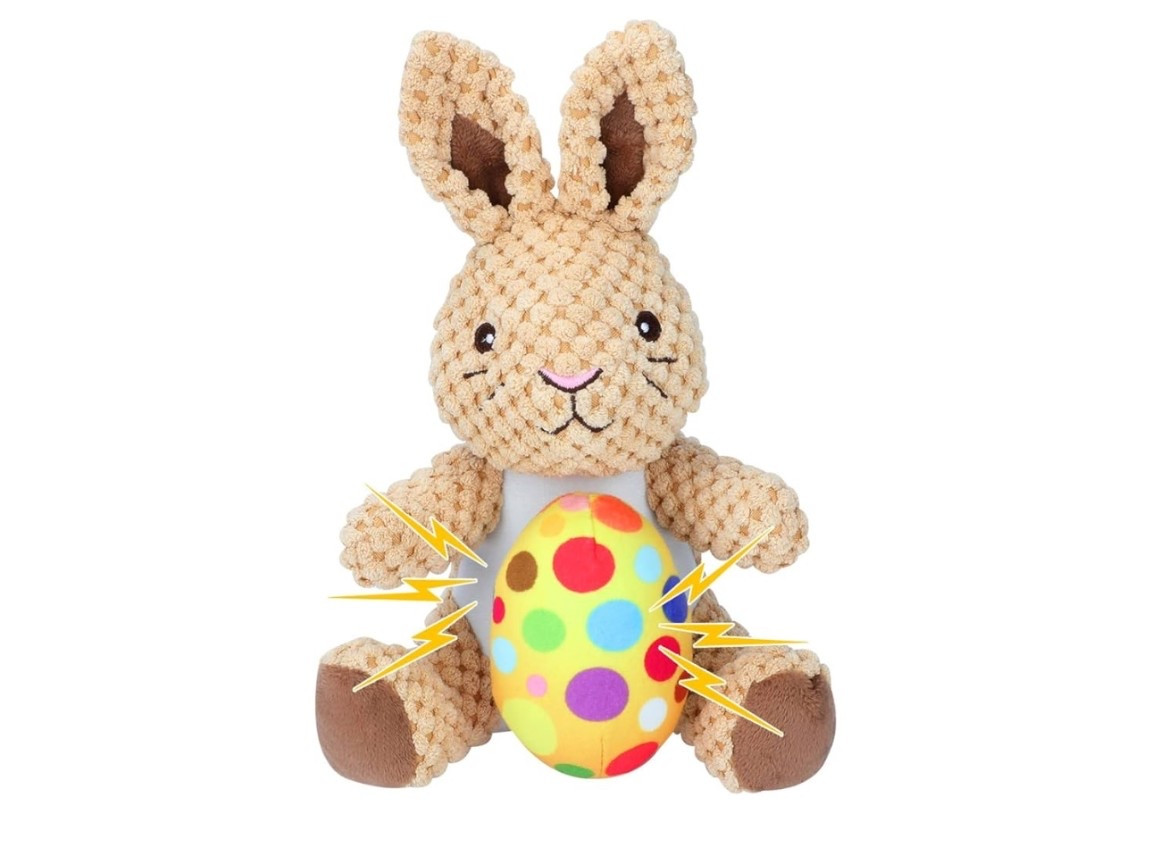 Amazon Dog Easter 🐰 🐶 

#LTKmomlife #LTKSaleAlert #LTKSeasonal