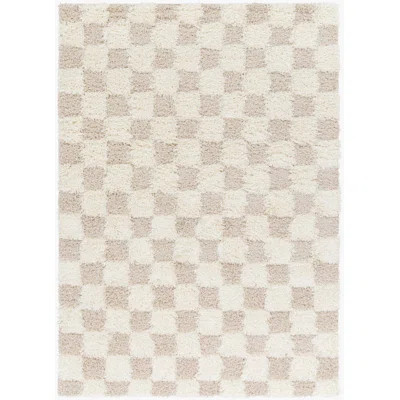 Atiran Checkered Shag Beige Area Rug | Wayfair North America