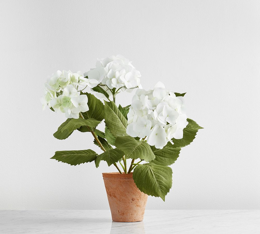 Faux White Hydrangea | Pottery Barn (US)