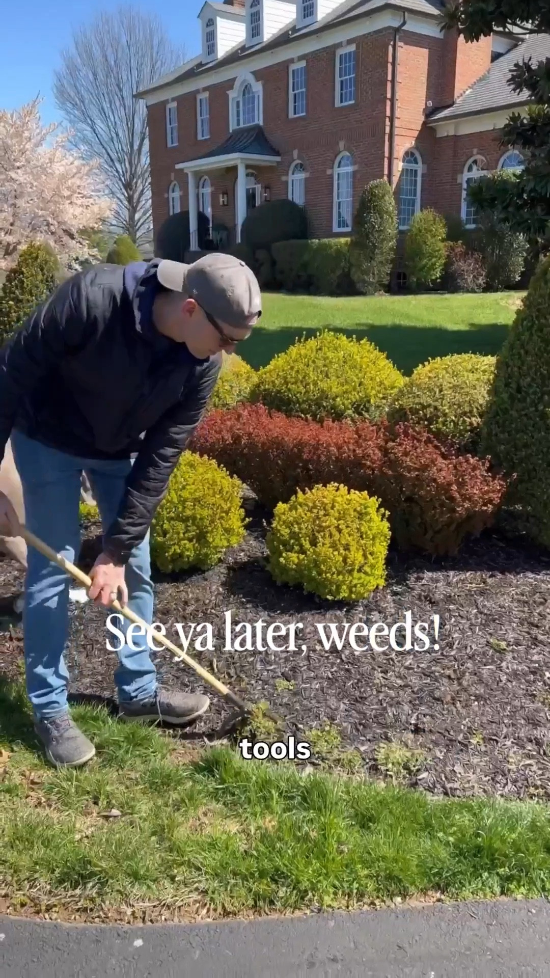 Favorite weeding tools!




#LTKHome #LTKSeasonal