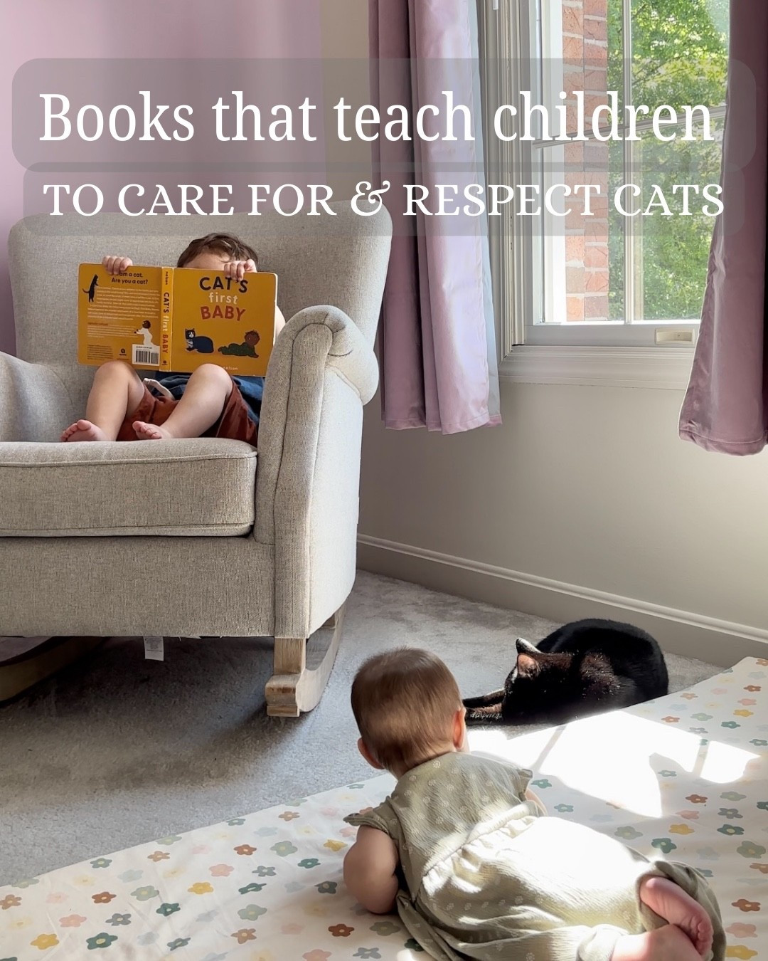 Books that teach children to care for & respect cats 