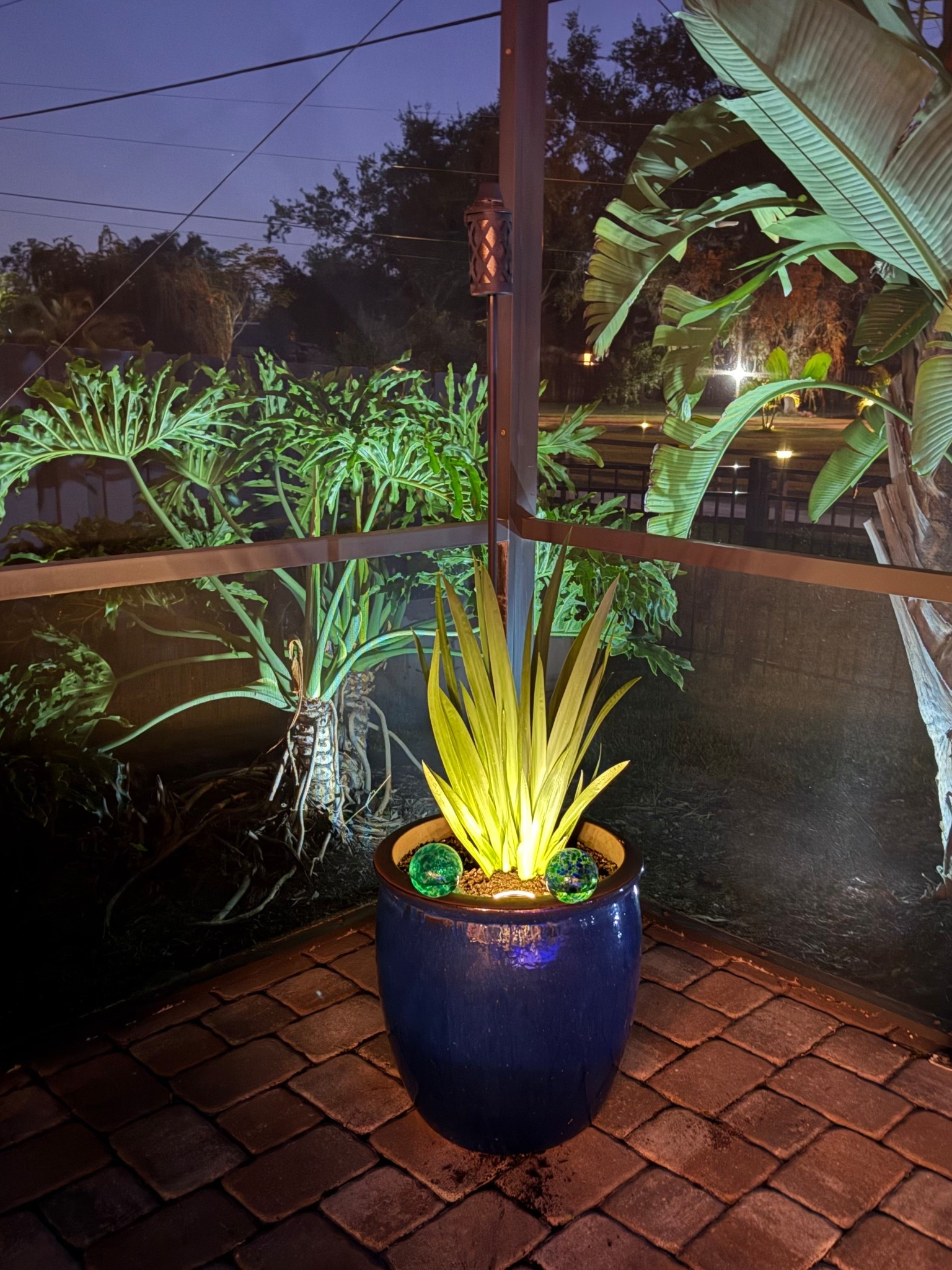 Add some uploghting to your potted plant! These solar pucks just drop right into the soil & bring your plant to life at night! 

#LTKHome