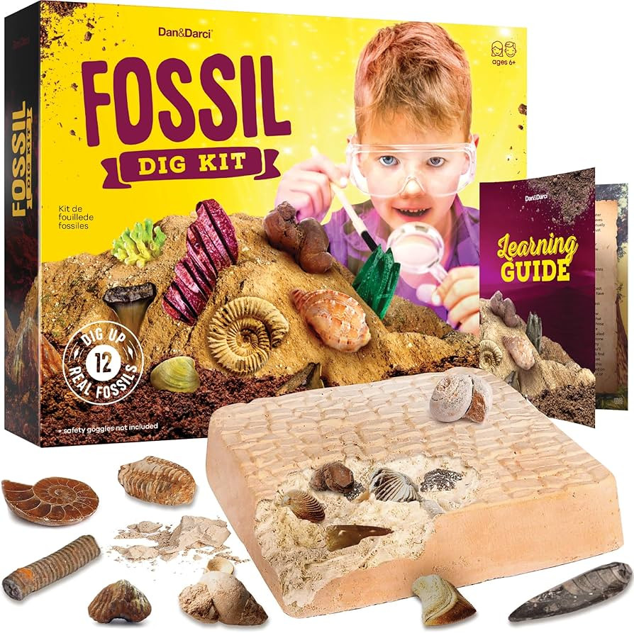 Real Fossil Dig Kit for Kids - Mega Science Kits for Boys & Girls Age 8-12 - Birthday Gift Ideas ... | Amazon (CA)
