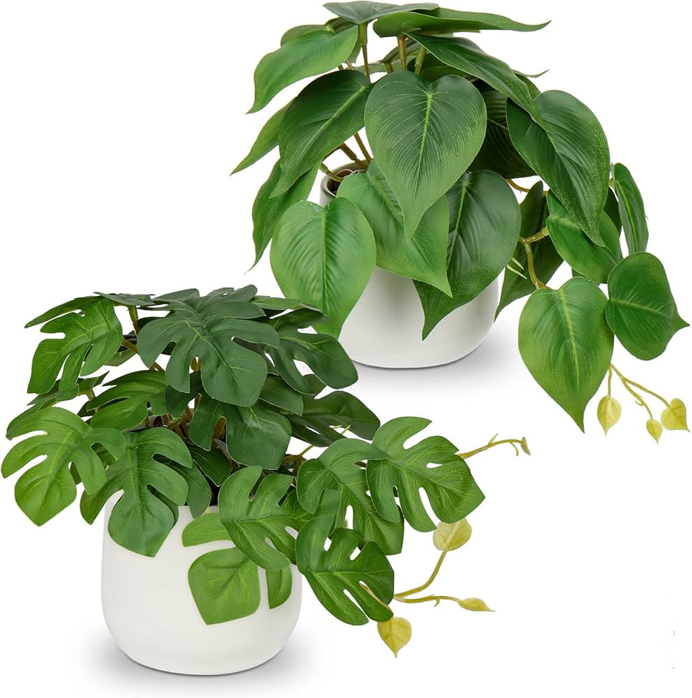 Fake Plants Set of 2 Artificial Plants Faux Pothos with White Ceramic Pots Fake Potted Plants Art... | Amazon (US)
