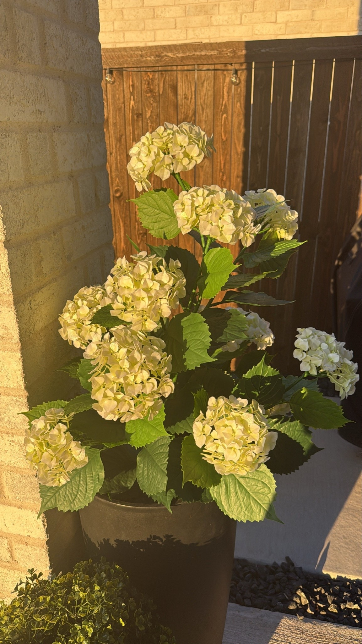 The prettiest faux hydrangeas