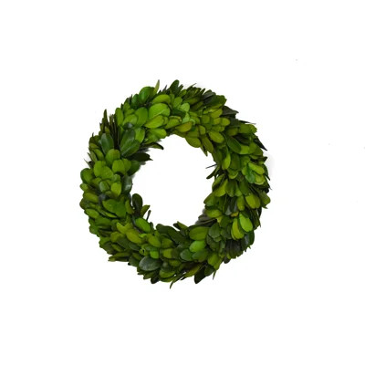 Boxwood Mini Wreath | Wayfair North America