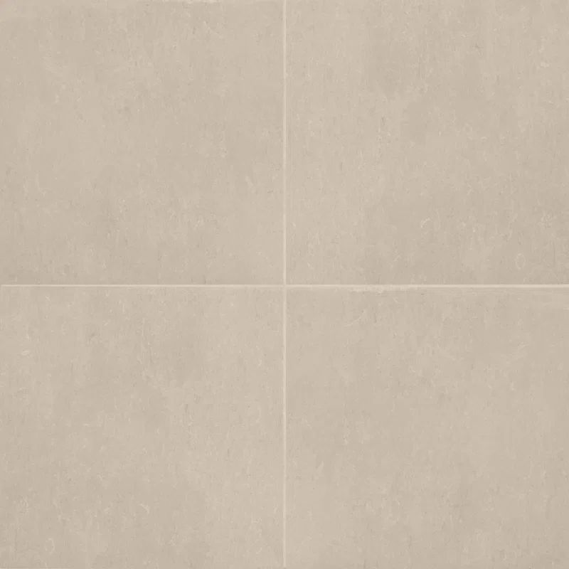 Thaddeus 32" x 32" Porcelain Stone Look Wall & Floor Tile (Set of 2) | Wayfair North America