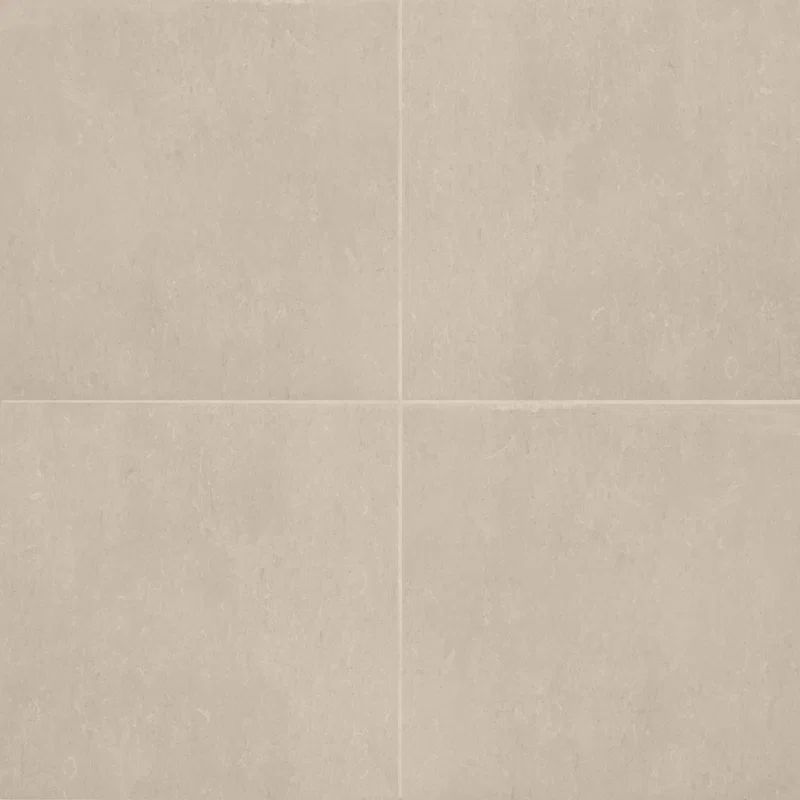 Thaddeus 32" x 32" Porcelain Stone Look Wall & Floor Tile (Set of 2) | Wayfair North America