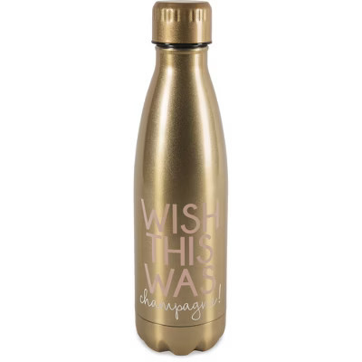 Pavilion Gift Company - Champagne - 18 oz Stainless Steel Water Bottle - Portable Drinkware | Target