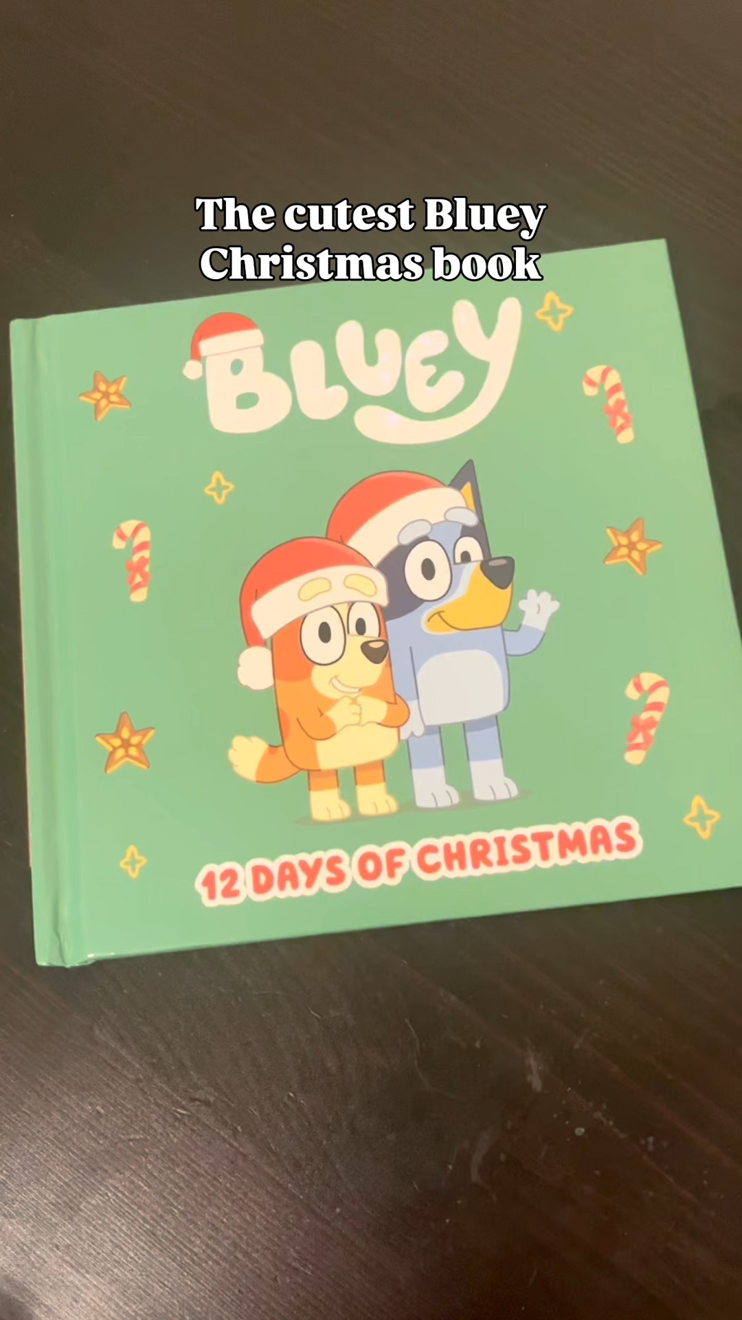 Bluey 12 days of Christmas book. My kids love this book so much! It’s so cute and a great gift for them  

#LTKGiftGuide #LTKmomlife #LTKHoliday