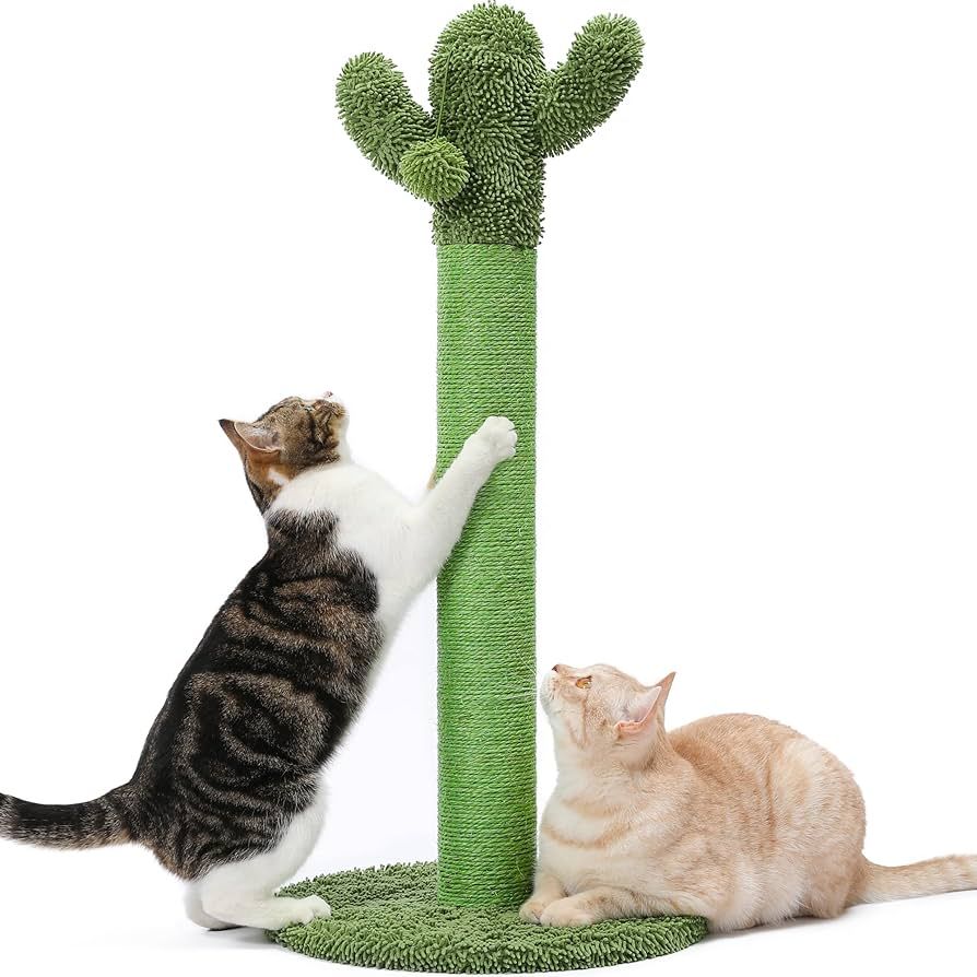 Made4Pets Cat Scratching Post, Cactus Cat Scratcher Kitten Scratch Post with Sisal Rope for Indoo... | Amazon (CA)